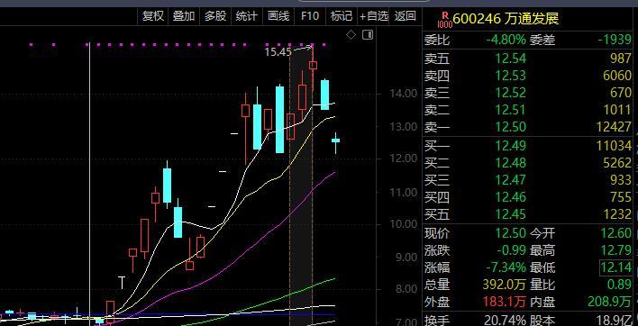 股票辨识度核心逻辑_基本面与行业地位分析_股票600259