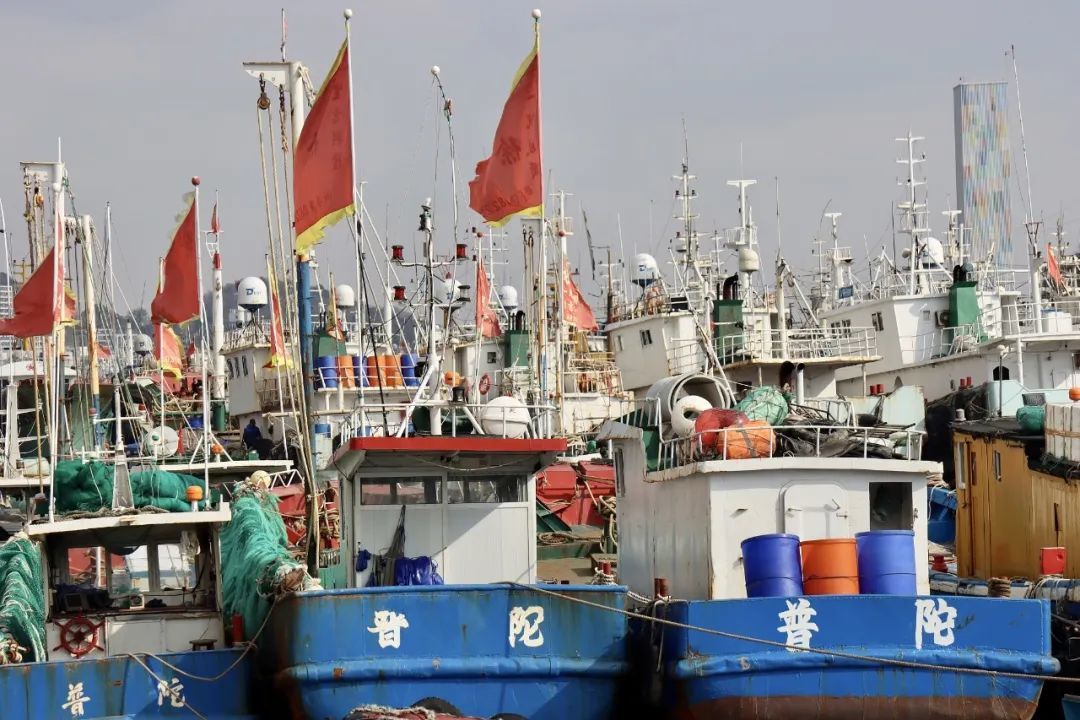 舟山物价全国排行？揭秘增速第一城，经济黑马背后的真相