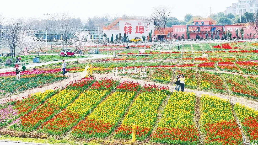 蚌埠向云端·非常道铁路微公园_蚌埠铁路历史文化体验_蚌埠适合约会的地方