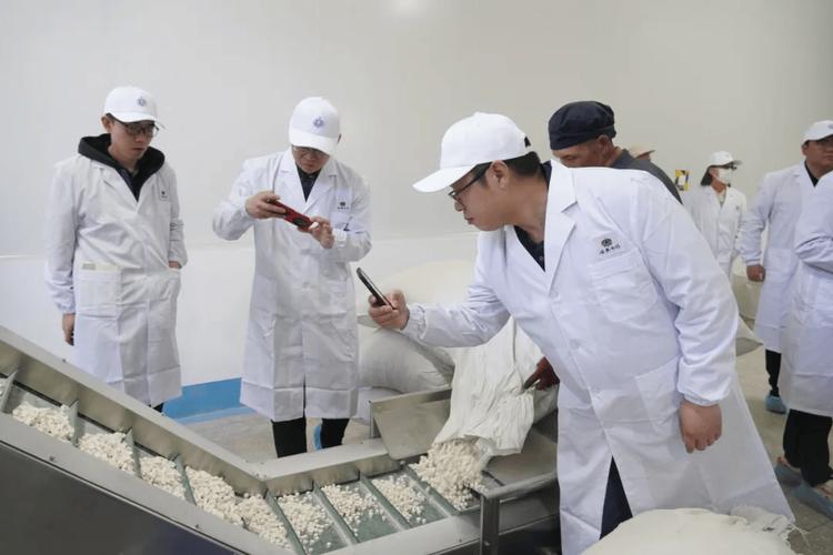 品种优势地方有哪些_优良品种特点_地方品种的优势