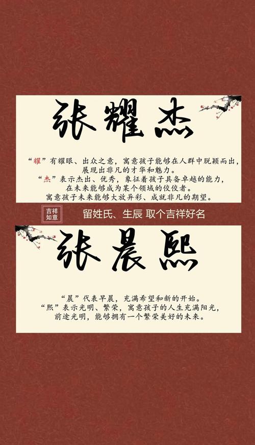 姓张的看过来！这些独一无二且富有吉利寓意的男孩名字请收好