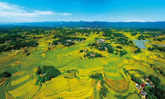 如何发展乡村旅游_巴渝乡村休闲旅游规划_全国休闲农业重点县发展