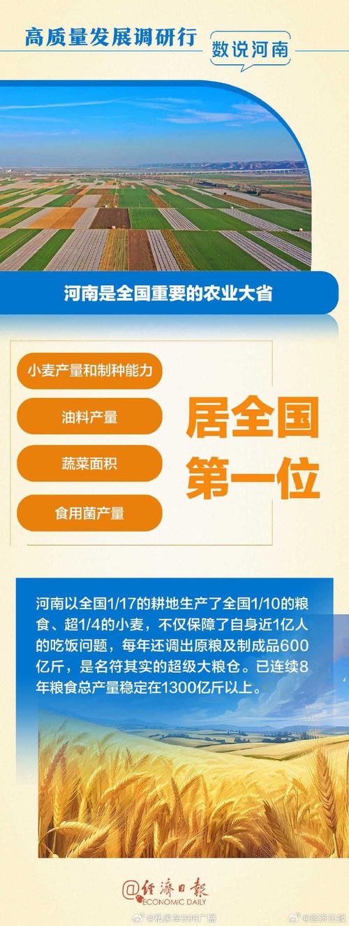 河南遂平：从‘中原粮仓’到‘国人厨房’的转型密码？