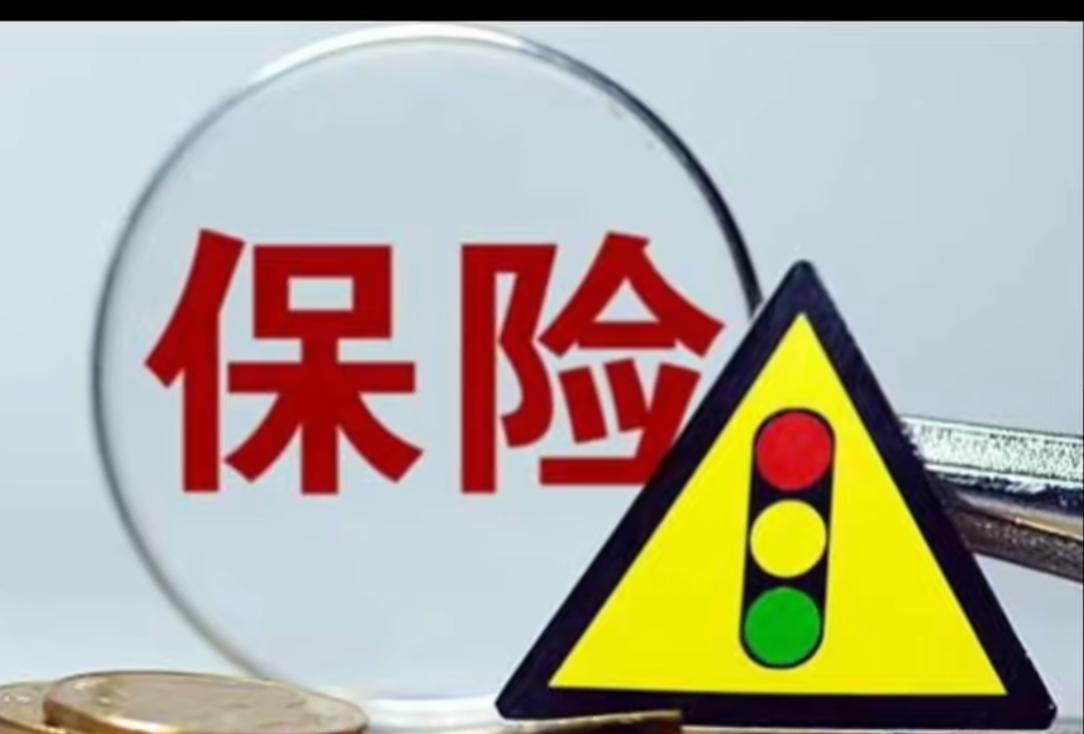 保险公司投资策略_巴菲特传下载_巴菲特浮存金运用