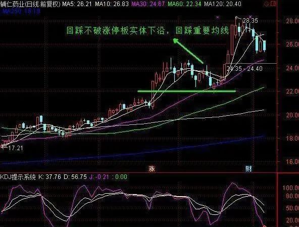 龙头股洗盘方式_涨停回马枪战法_龙头股首阴战法