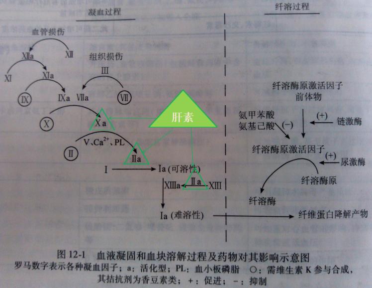 医学小白必看！普通肝素和低分子肝素的6大区别解析