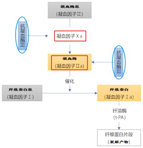 低分子肝素钙价格_普通肝素与低分子肝素区别_低分子肝素抗凝作用机制