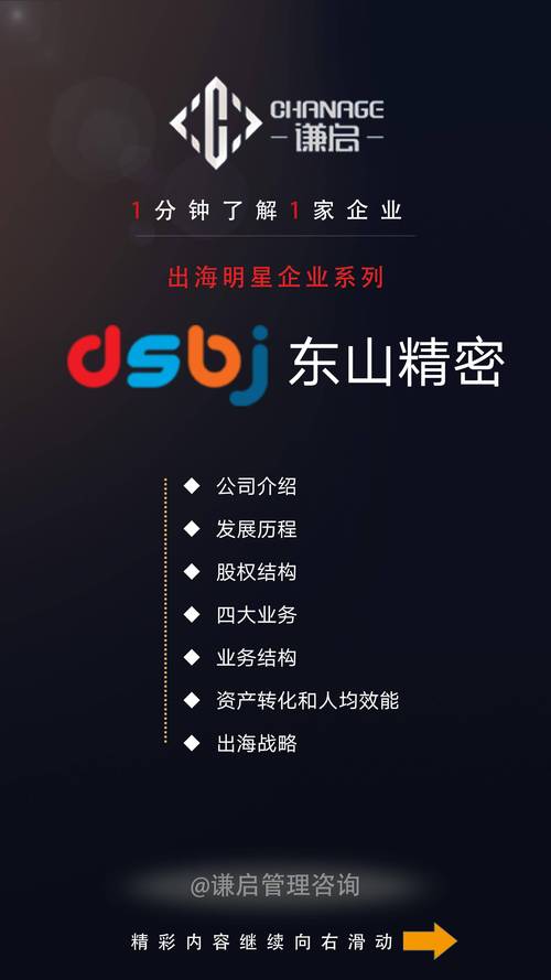 股票发行上市 苏州东山精密董事会多元化政策解读：涵盖成员构成与雇员发展，助力企业可持续发展