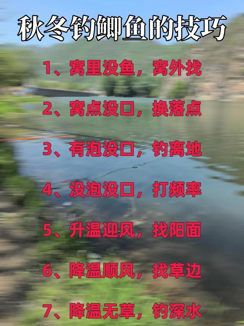 秋季三板溪水库钓鱼绝招，选对钓位让你天天爆护