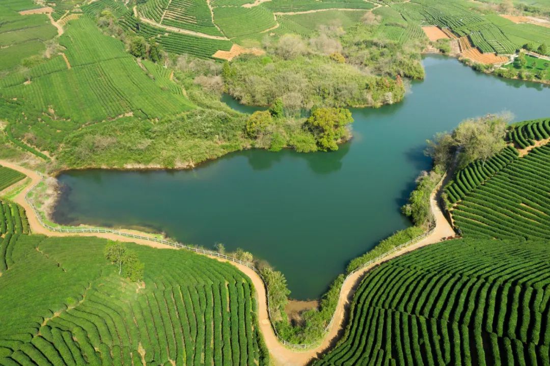 三板溪水库好钓鱼吗_杭州绝美水库_杭州私藏小众水库