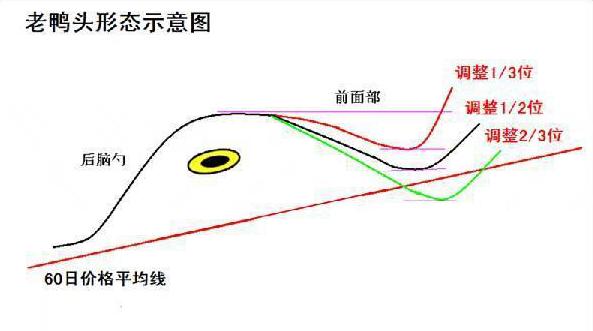 交易系统策略选择_风险管理仓位控制_经传主力资金指标公式