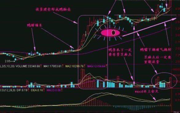交易系统策略选择_经传主力资金指标公式_风险管理仓位控制