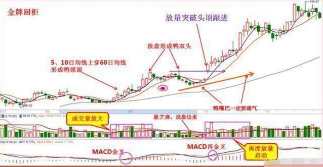 风险管理仓位控制_经传主力资金指标公式_交易系统策略选择