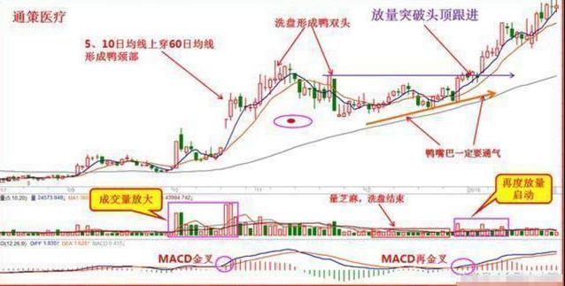 经传主力资金指标公式_交易系统策略选择_风险管理仓位控制