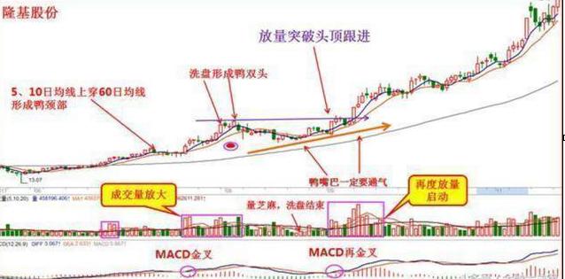 交易系统策略选择_经传主力资金指标公式_风险管理仓位控制
