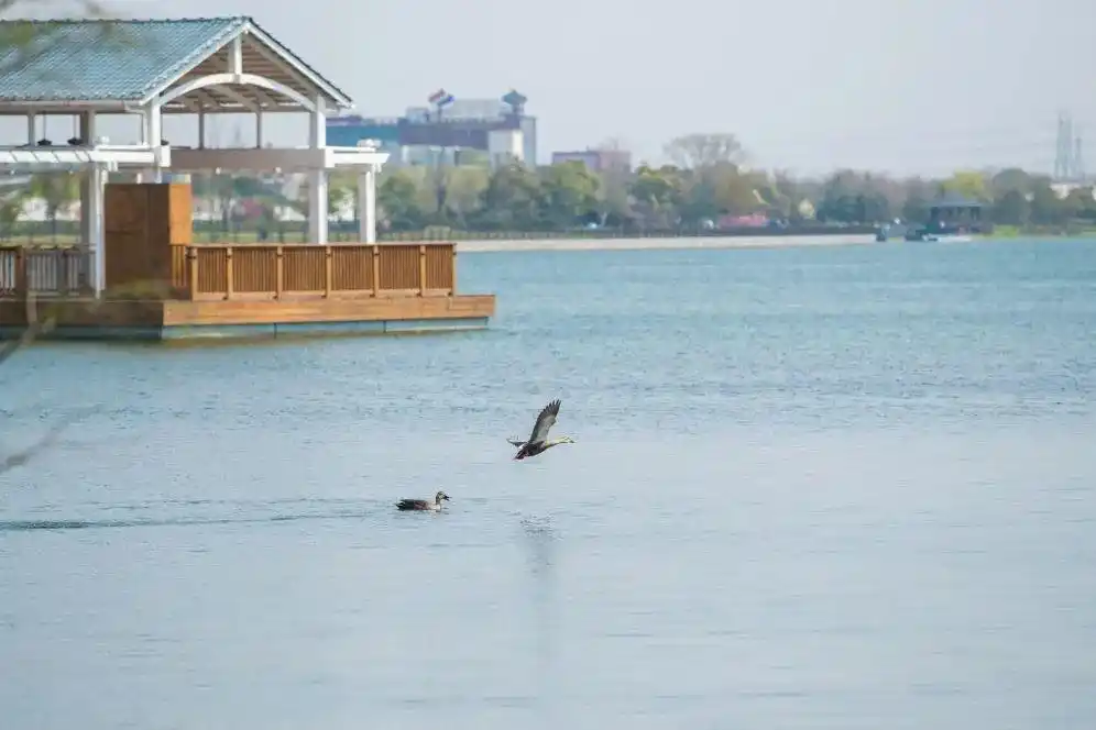 迪士尼小镇星愿公园运营时间_上海迪士尼度假区部分重新开放_华特迪士尼乐园