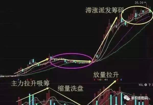黑马股成交量三大特征：看成交异动与整理时间，掌握牛股运行规律