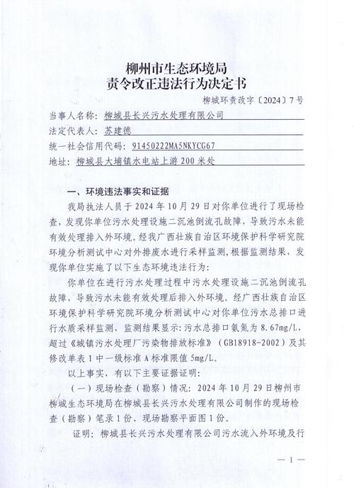 股票柳化股份_600423柳化股份广西证监局责令改正整改报告_柳化股份会计核算不规范整改措施