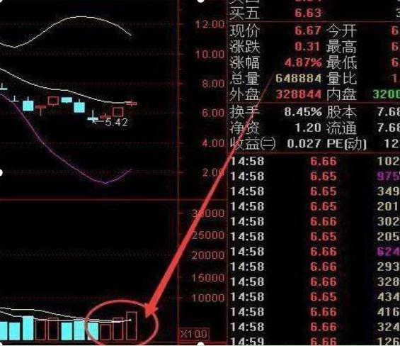股票投机与赌博的区别_经传主力资金指标公式_如何通过研究股市赚钱