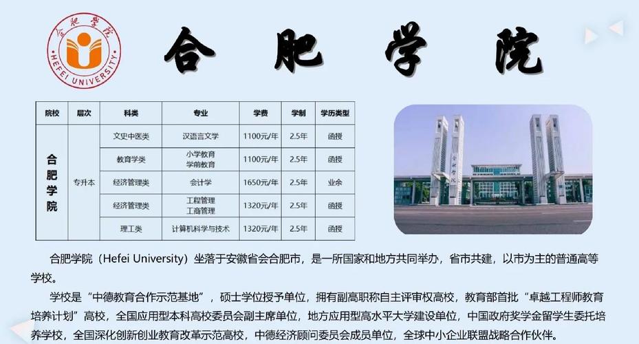 合肥学院国际化办学经验_地方高校如何实现办学国际化_地方高校国际化发展模式