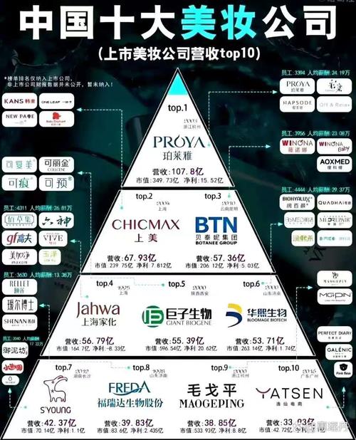 净利润排名_化妆品上市公司有哪些_国货美妆公司营收排名