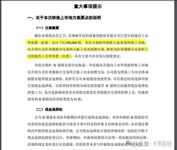 威孚高科拟转换B股上市地于港交所上市，业务板块多元引关注