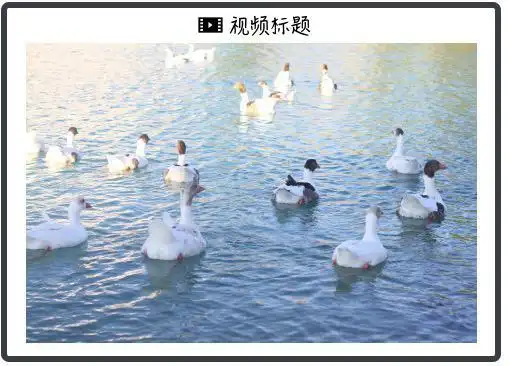 pmi反映 尔雅_PMI指标体系分析_PMI调查特征