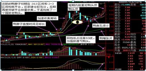 庄家洗盘吸筹_ 股市投资心态分析 _