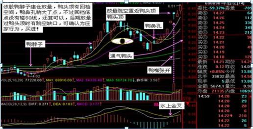  股市投资心态分析 _庄家洗盘吸筹_