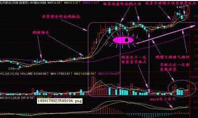 股票的老鸭头形态图解_散户亏损原因分析_投机交易盈利逻辑