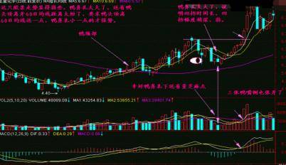 股票的老鸭头形态图解_投机交易盈利逻辑_散户亏损原因分析