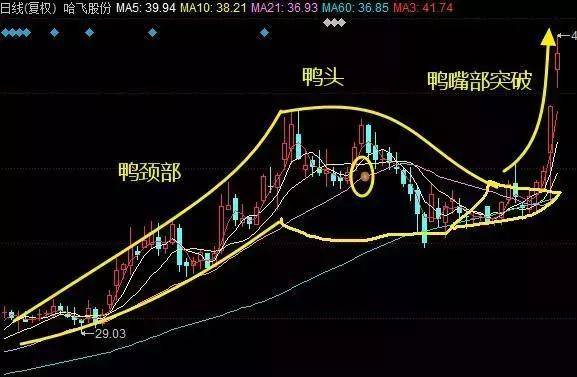 散户亏损原因分析_投机交易盈利逻辑_股票的老鸭头形态图解
