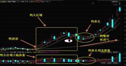 股票的老鸭头形态图解_投机交易盈利逻辑_散户亏损原因分析