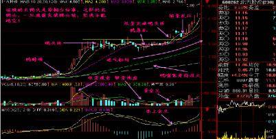 散户亏损原因分析_投机交易盈利逻辑_股票的老鸭头形态图解