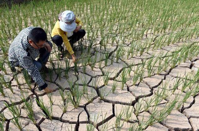 三峡水利股票历史最低价_三峡大坝为什么重要_三峡大坝真实寿命分析
