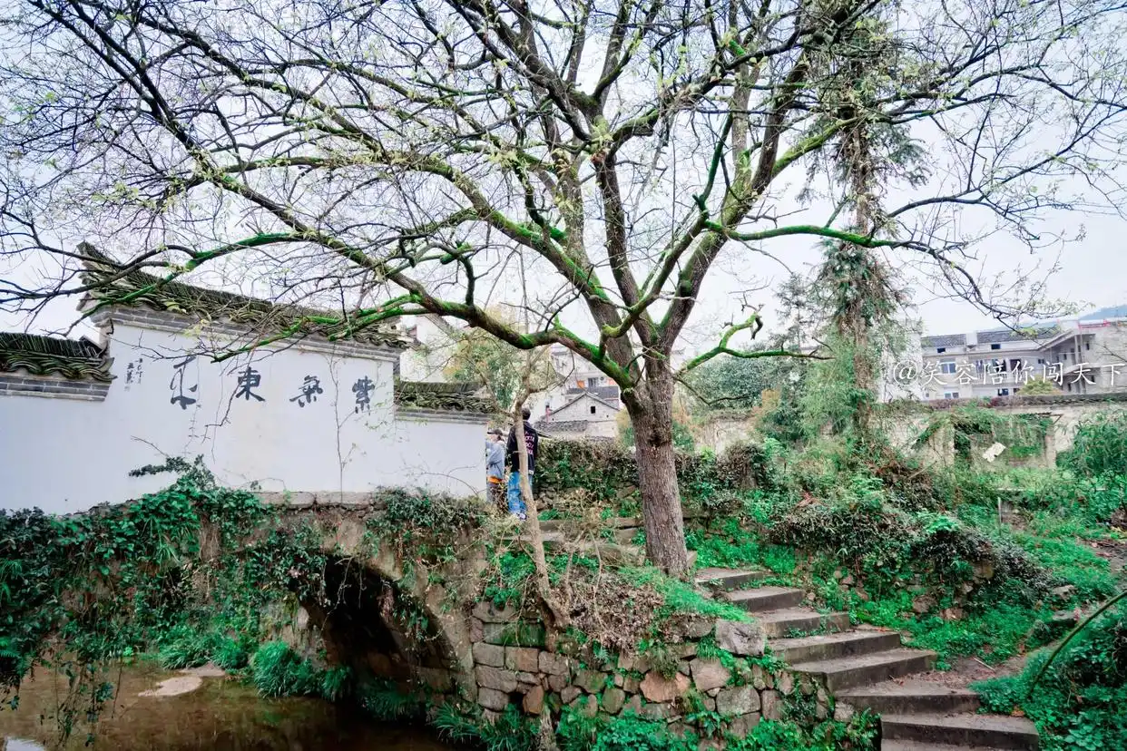 安徽古村落旅游攻略_宏村南屏村西递大通查济徽州古城阳产土楼许村鸠兹古镇龙潭古寨蔡畈古村落龙潭肖村梨桥水镇砀山_安徽古镇哪个最值得去