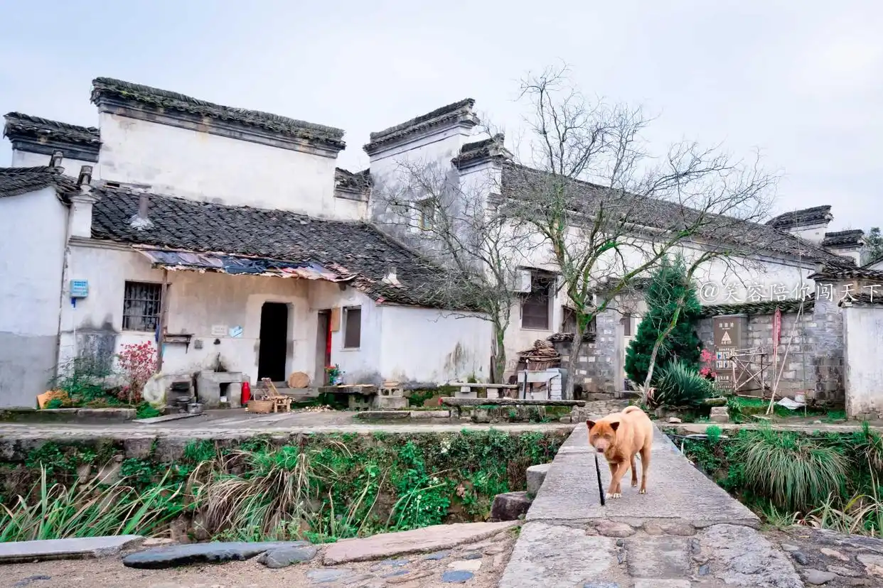 安徽古镇哪个最值得去_宏村南屏村西递大通查济徽州古城阳产土楼许村鸠兹古镇龙潭古寨蔡畈古村落龙潭肖村梨桥水镇砀山_安徽古村落旅游攻略