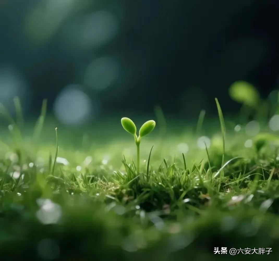 老股民炒股故事_1999年炒股经历_钱龙软件多钱