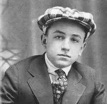 华特迪士尼的故事：从贫苦童年到创造风靡全球的米老鼠