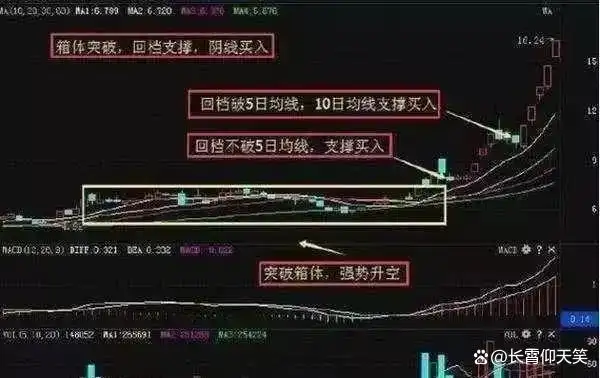 止损技巧_龙头股洗盘方式_投资策略