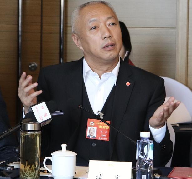 国家能源投资集团新领导任命，凌文担任总经理一职详情