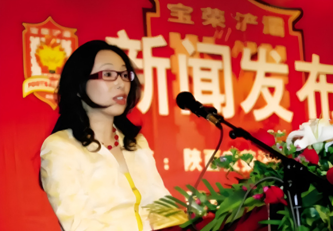 戴秀丽霍肯离婚原因_戴秀丽霍肯离婚细节_戴秀丽简历小学那上的