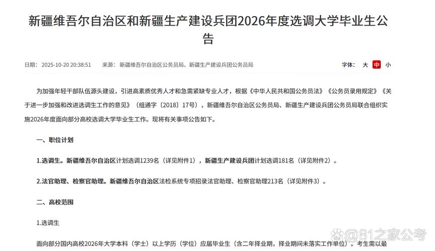 2026年新疆面向部分高校选调大学毕业生工作公告