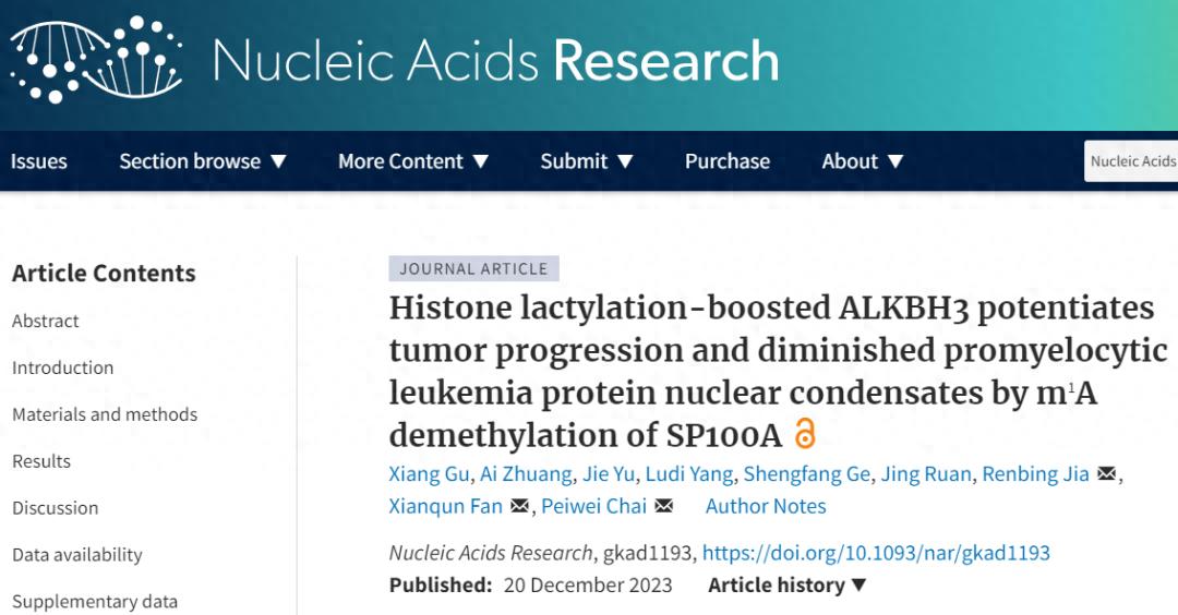 watson-crick 组蛋白乳酸化激活ALKBH3，m¹A去甲基化SP100A促癌