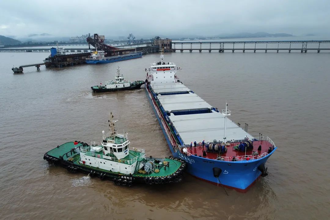 舟山市自贸区_浙江自贸区舟山片区数字化改革_舟山数字口岸综合服务平台