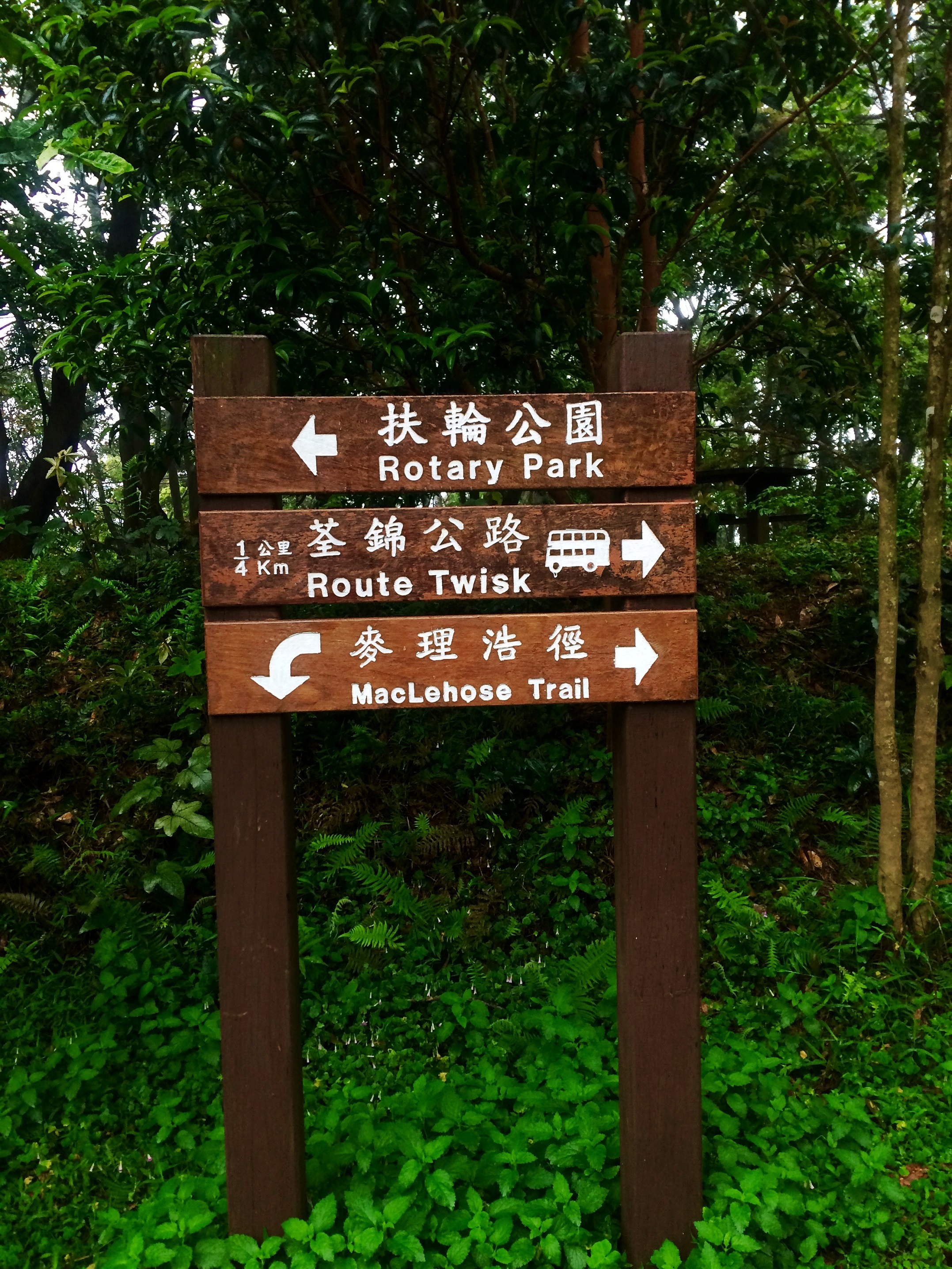 麦理浩径攻略_香港徒步路线_香港麦理浩径起源