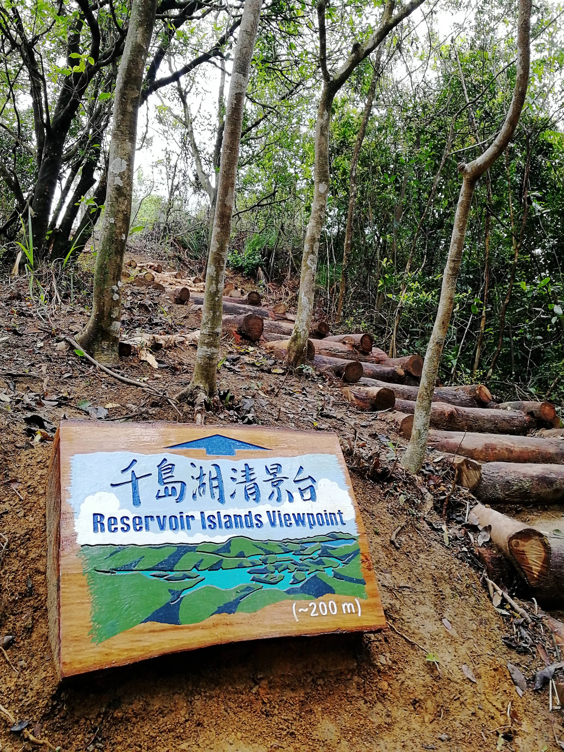 香港麦理浩径起源_麦理浩径攻略_香港徒步路线