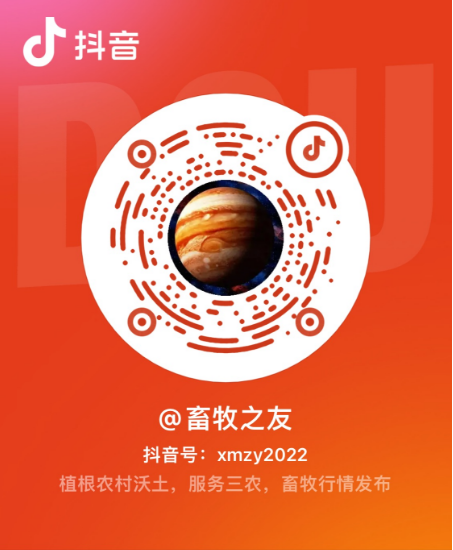 维生素价格走势最新动态 2026年2月市场行情分析