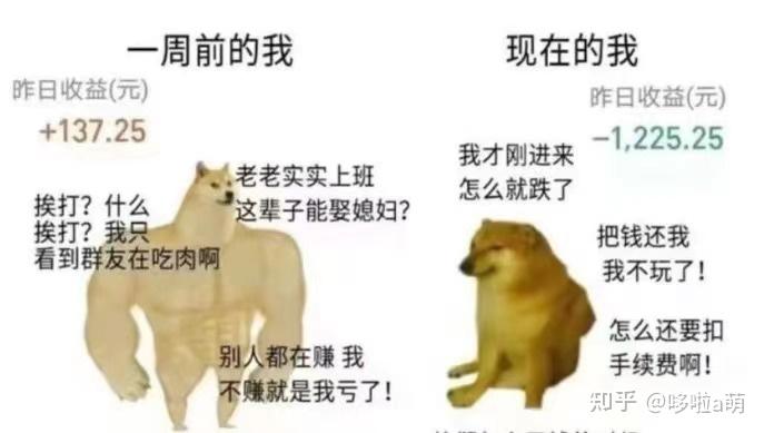 基金投资避坑指南_基金的建仓期_基金新手入门教程