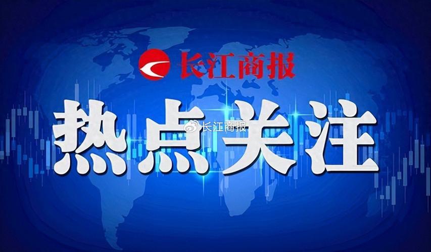 000571新大洲最新消息_主营业务亏损现金流枯竭_新大洲A股偿债能力归零